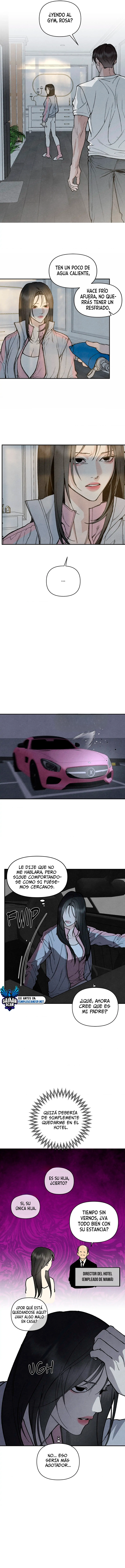 assets image