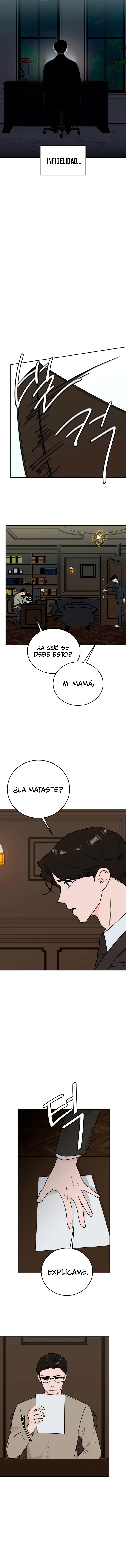 assets image