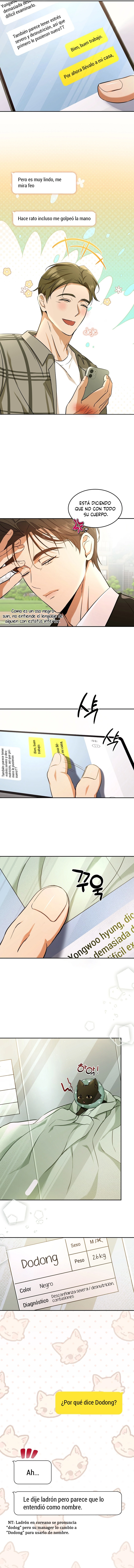 assets image