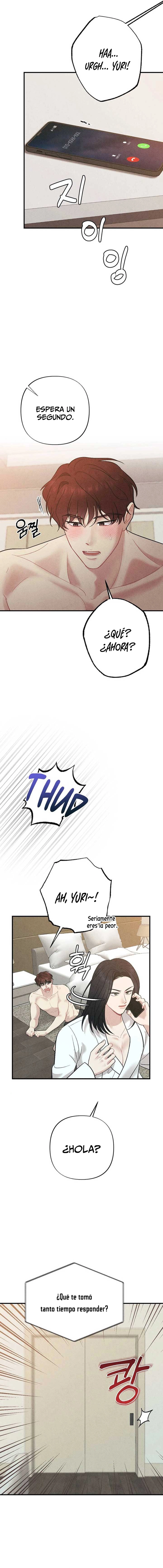 assets image