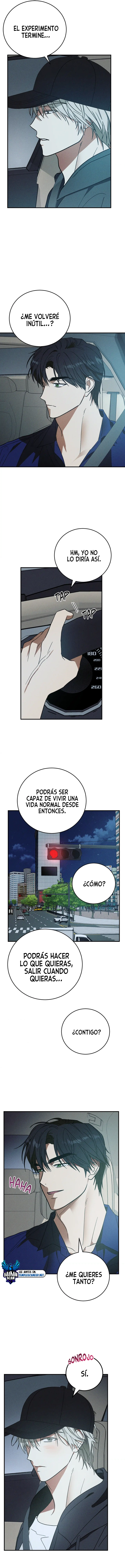 assets image