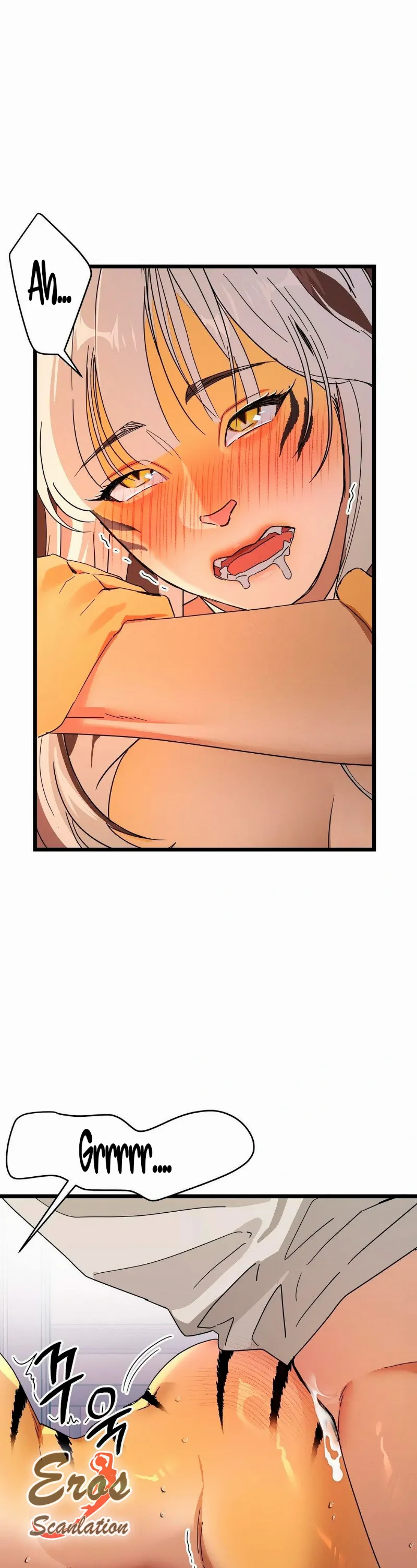assets image