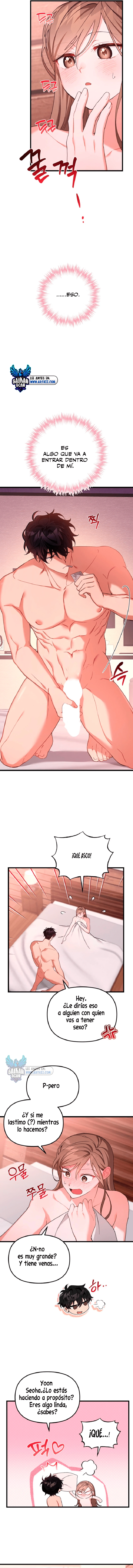 assets image