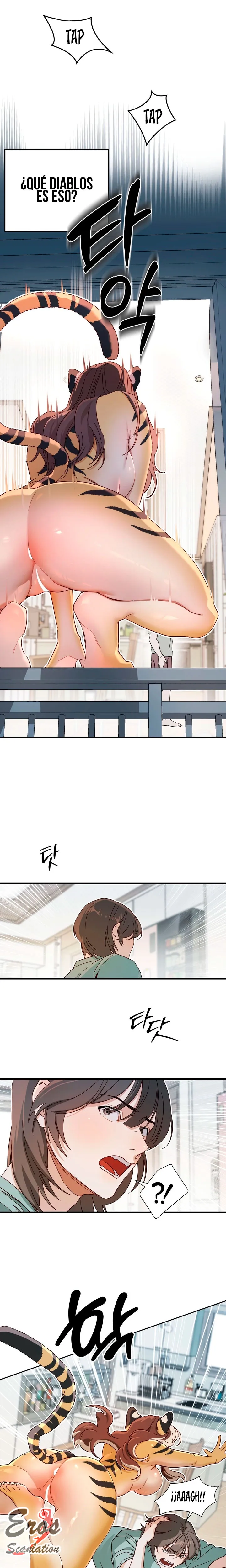 assets image