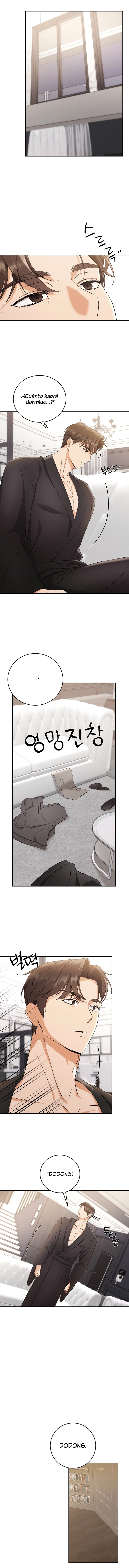 assets image