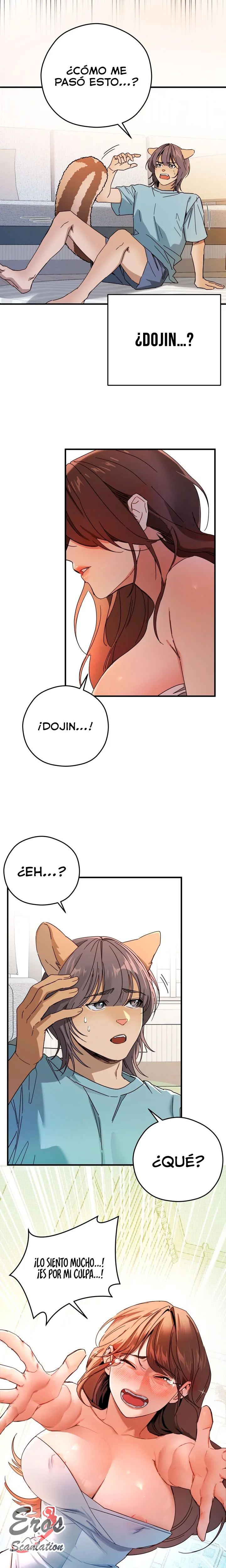assets image