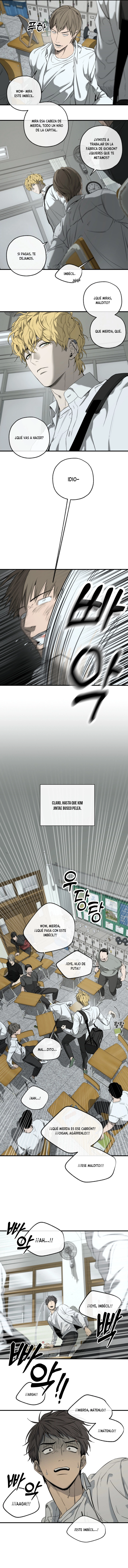 assets image