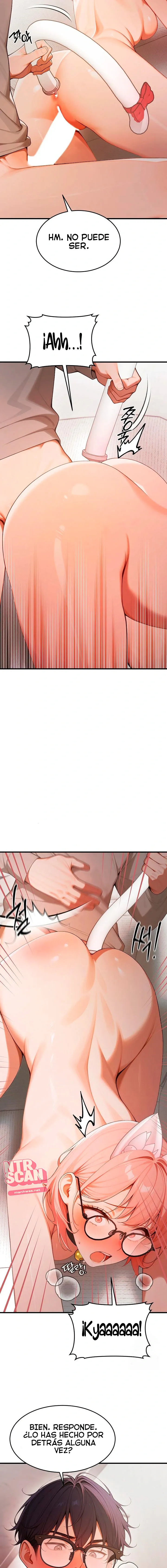assets image