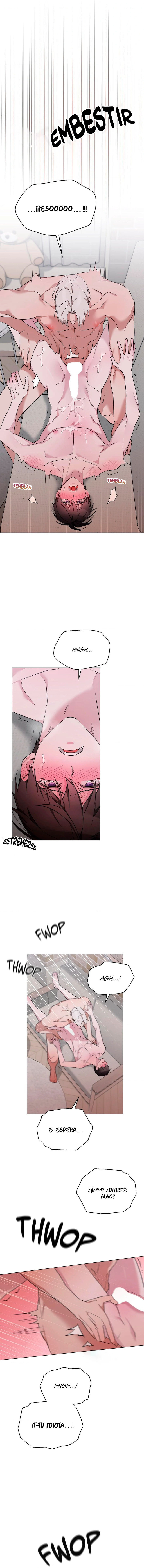 assets image