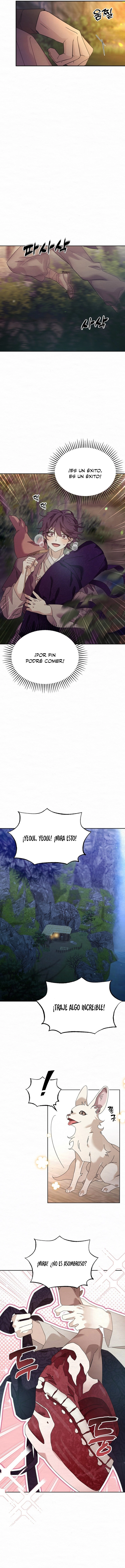 assets image