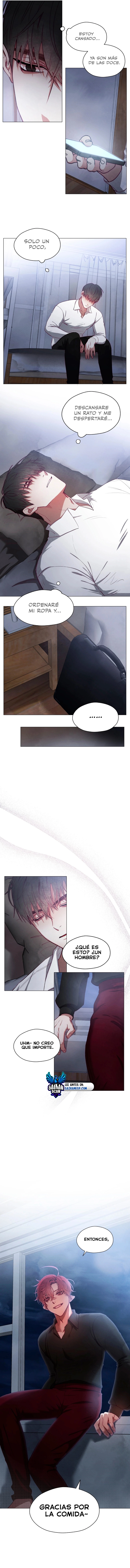 assets image