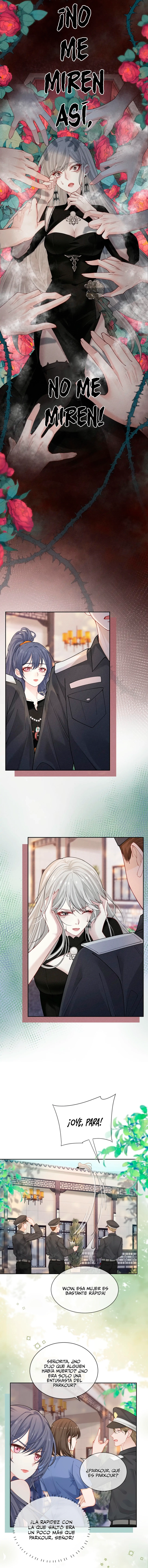assets image