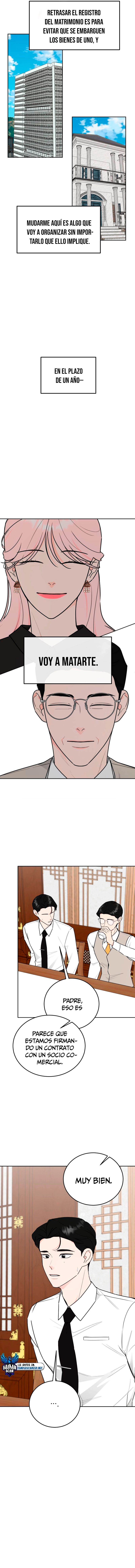 assets image