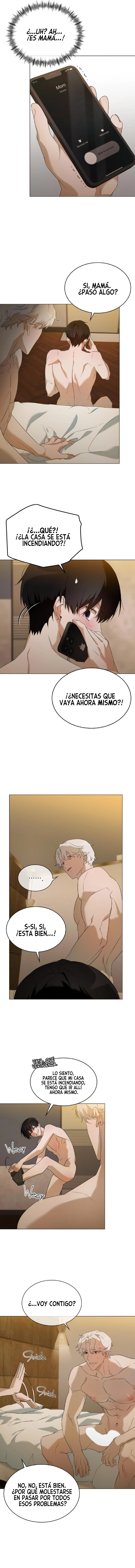 assets image
