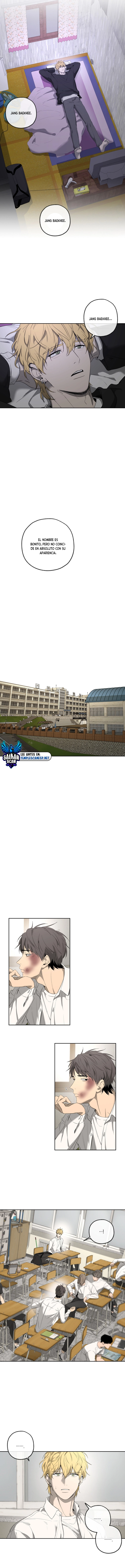 assets image