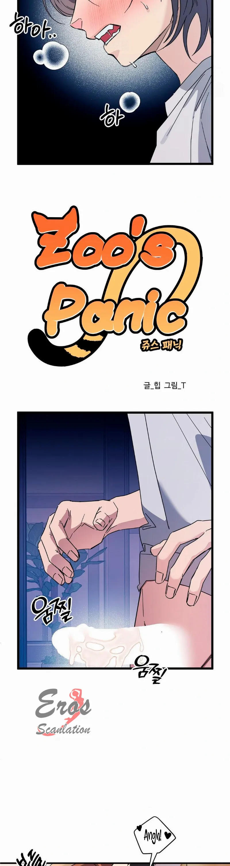 assets image