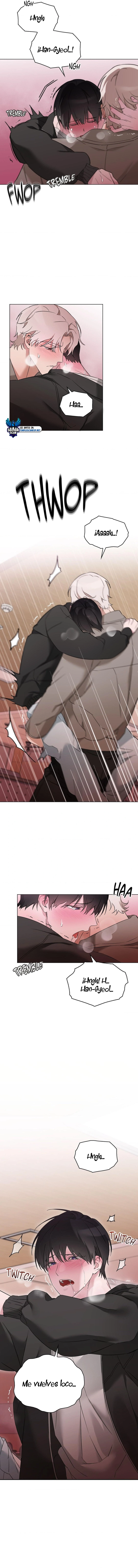 assets image