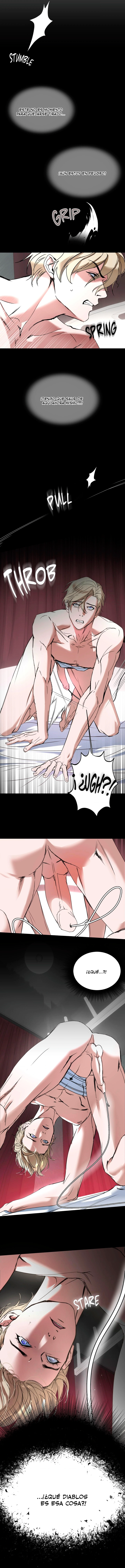 assets image