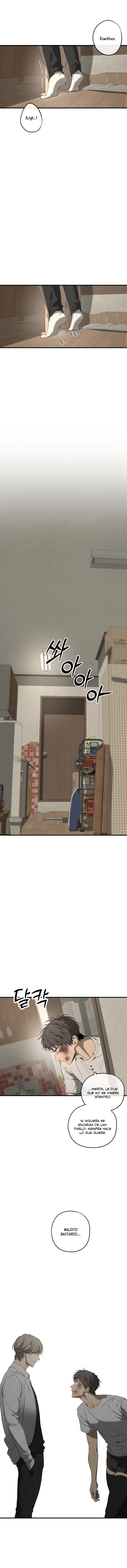 assets image