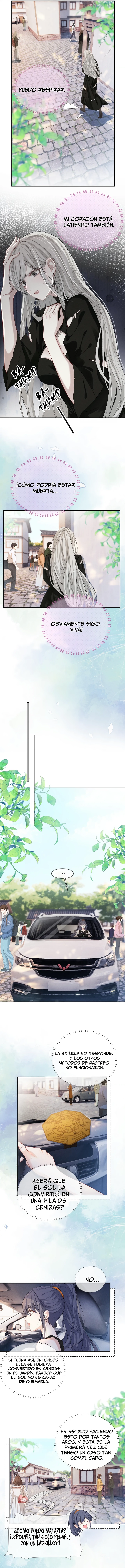 assets image