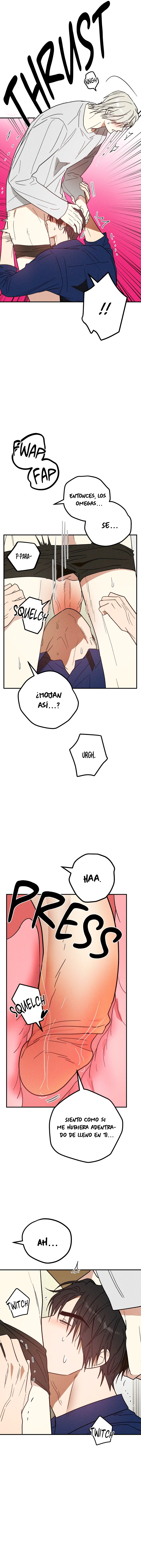 assets image