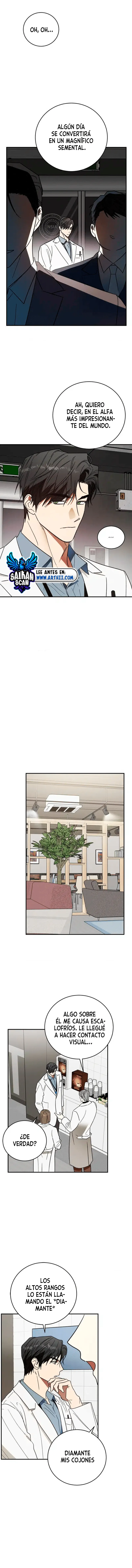 assets image