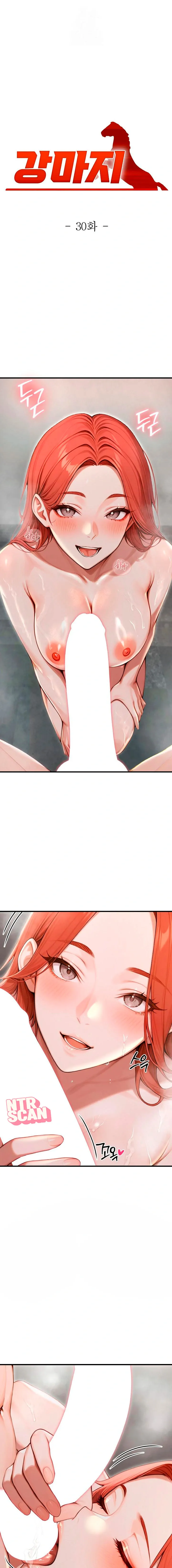 assets image