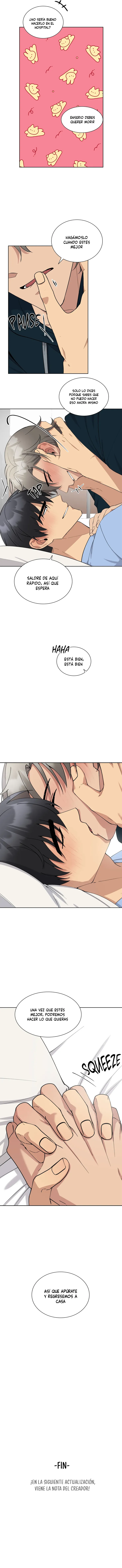 assets image