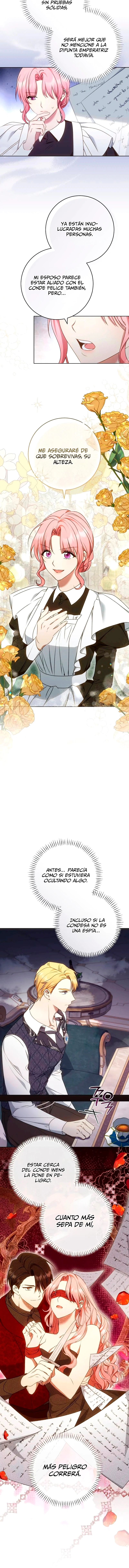 assets image