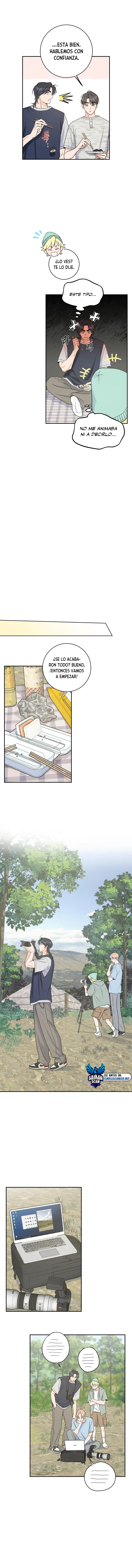 assets image