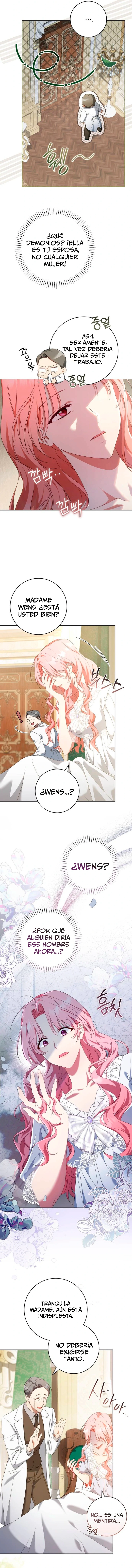 assets image