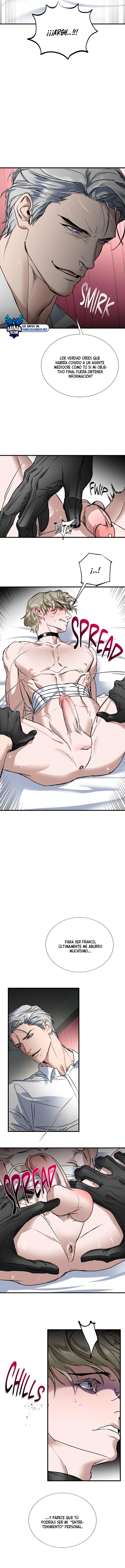 assets image