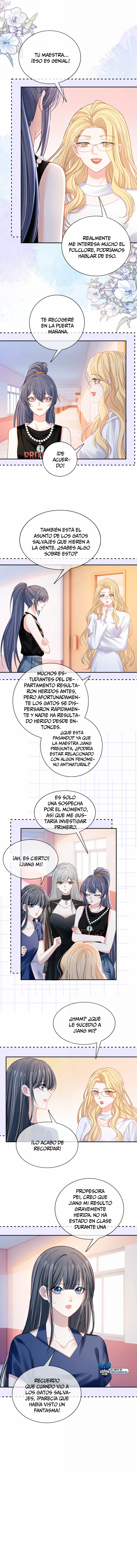 assets image