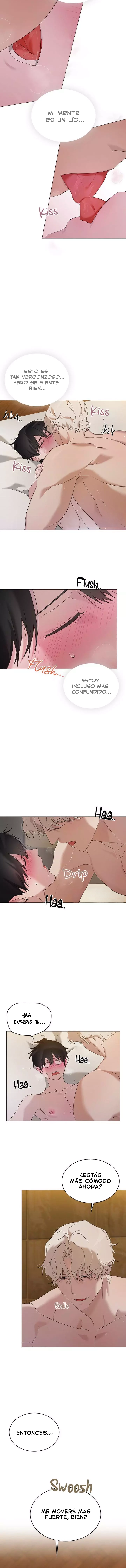 assets image