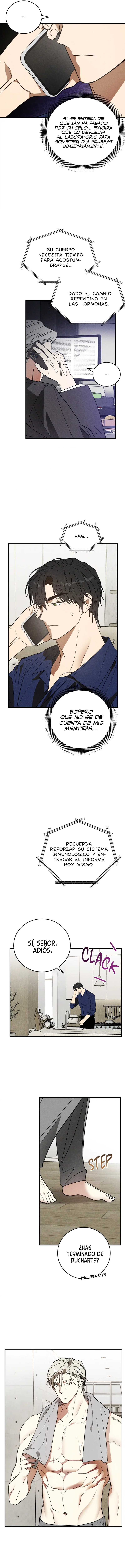 assets image