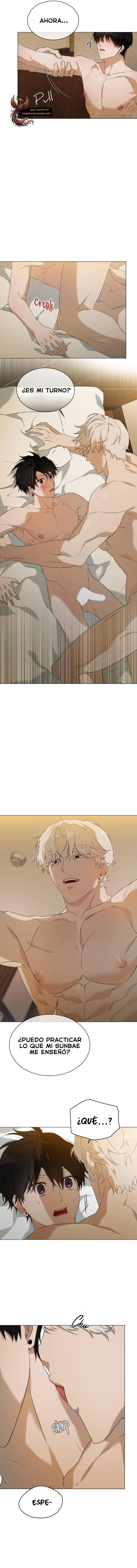 assets image