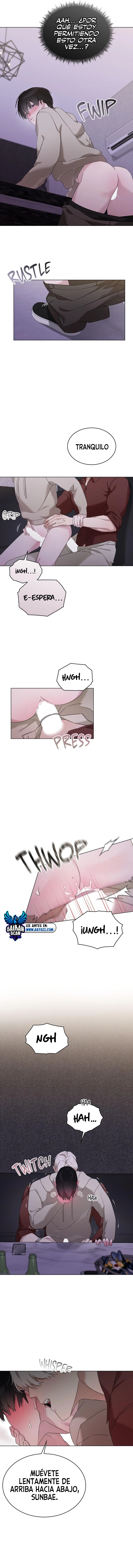 assets image