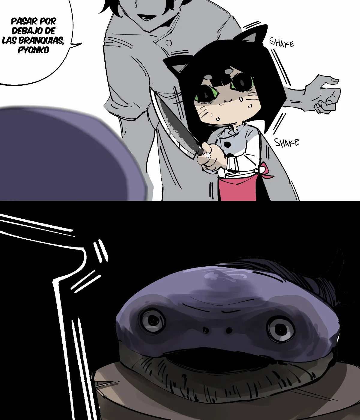 assets image