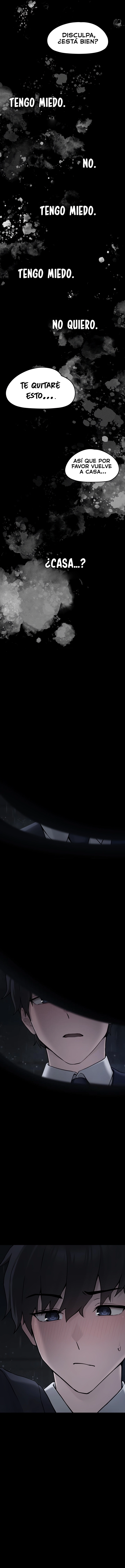assets image