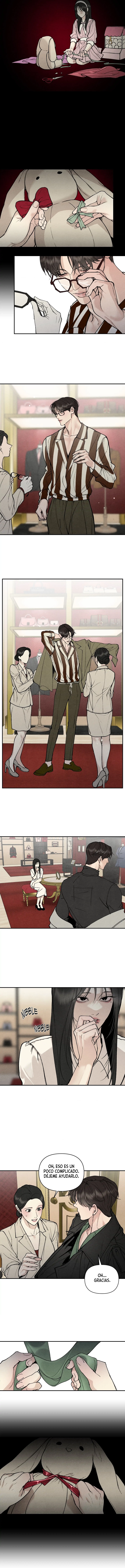 assets image