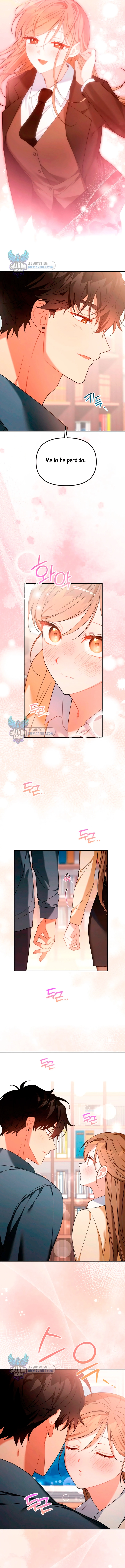 assets image