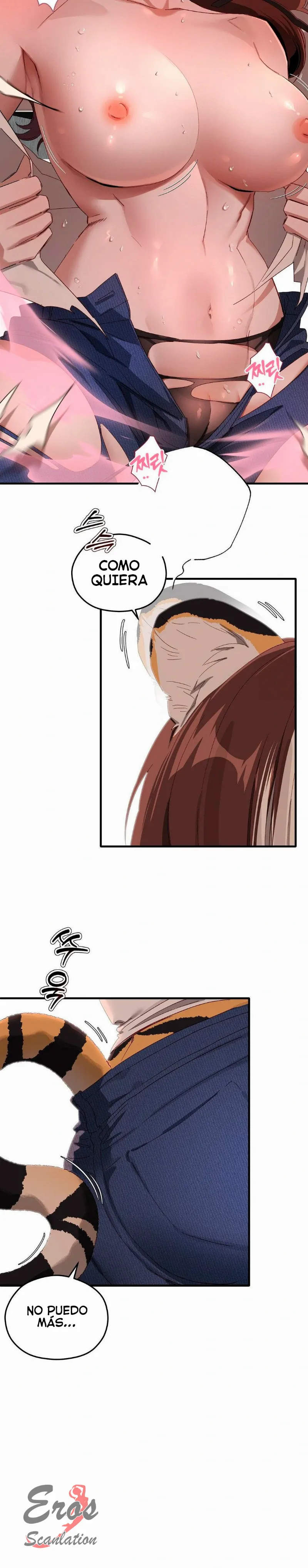 assets image