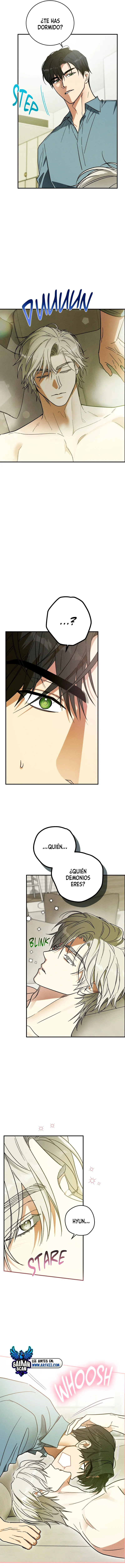 assets image