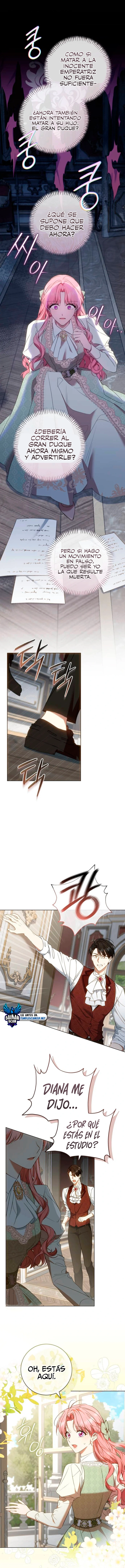 assets image