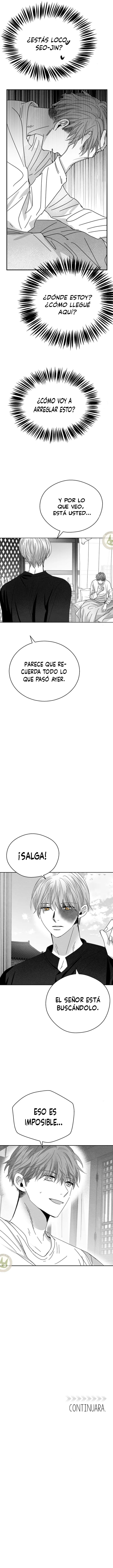 assets image