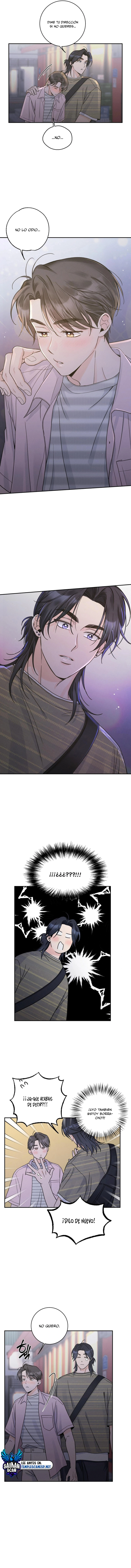assets image