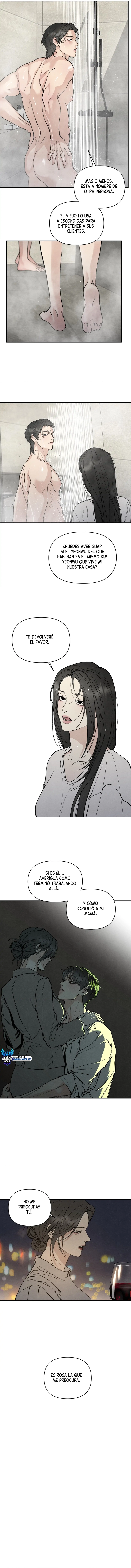 assets image