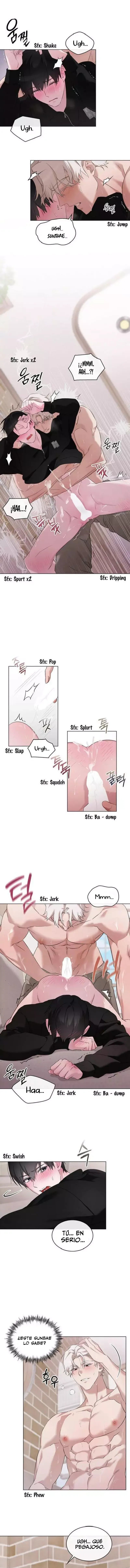 assets image