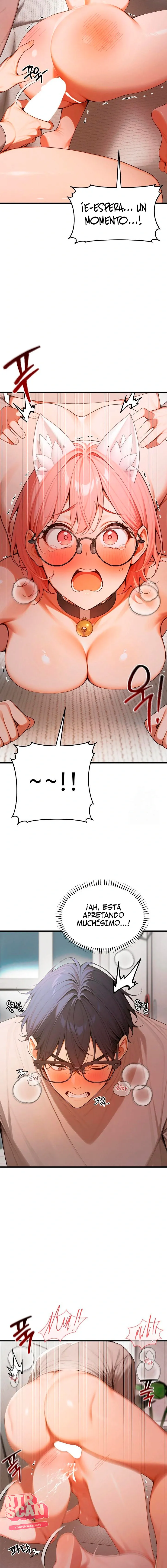 assets image