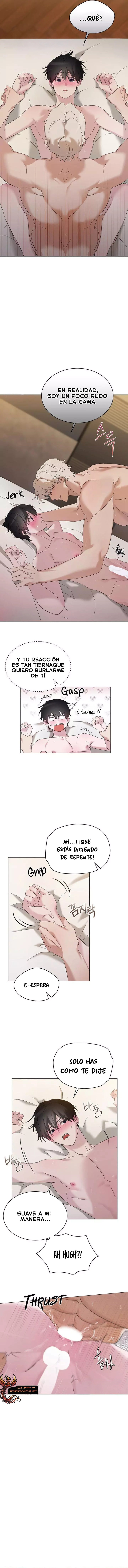 assets image